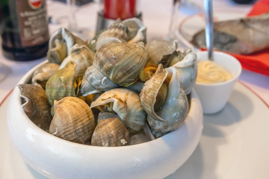 Closeup clams in dish