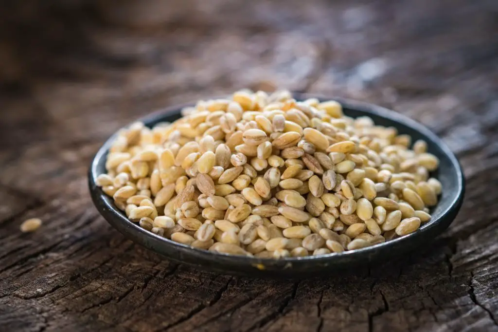 Dry pearl barley on rustic background
