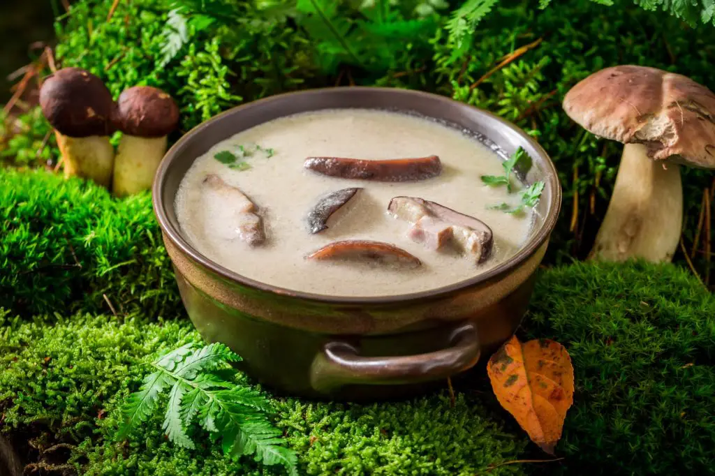 Homemade mushroom soup with parsley and cream. Creamy Boletus soup.