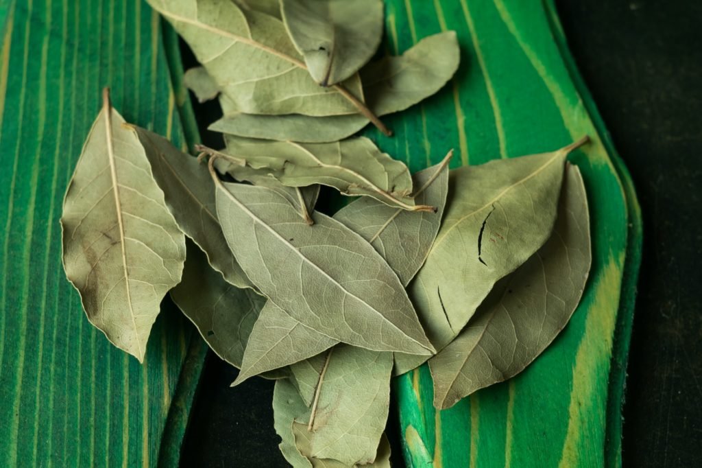 Bay Leaves