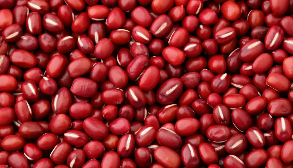Adzuki Red Bean
