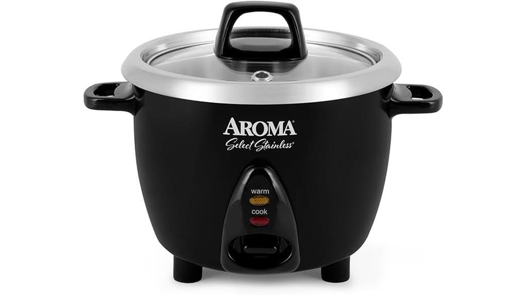 stainless rice cooker and warmer